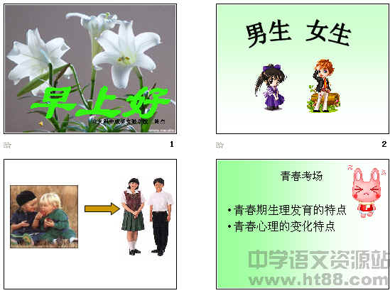 鿴Ԥͼ