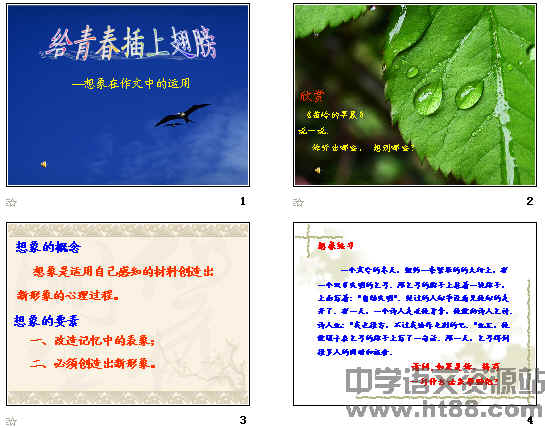 查看预览图