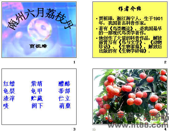 鿴Ԥͼ