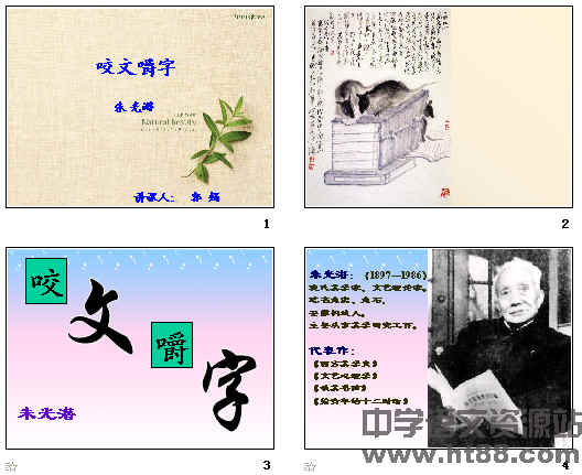 查看预览图