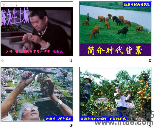 鿴Ԥͼ