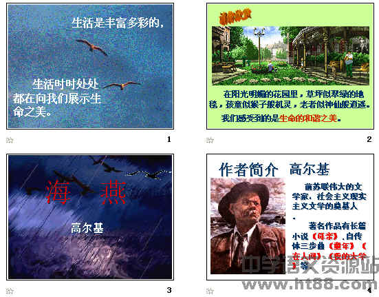 查看预览图