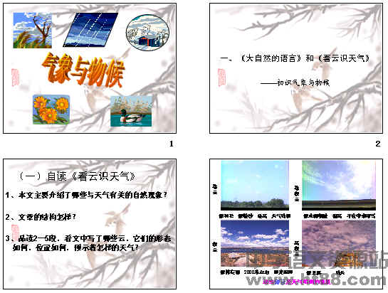 鿴Ԥͼ
