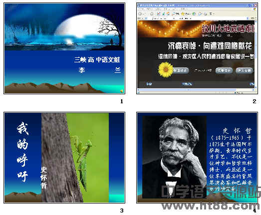 鿴Ԥͼ