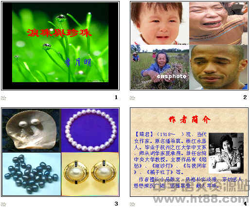 鿴Ԥͼ