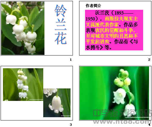 鿴Ԥͼ