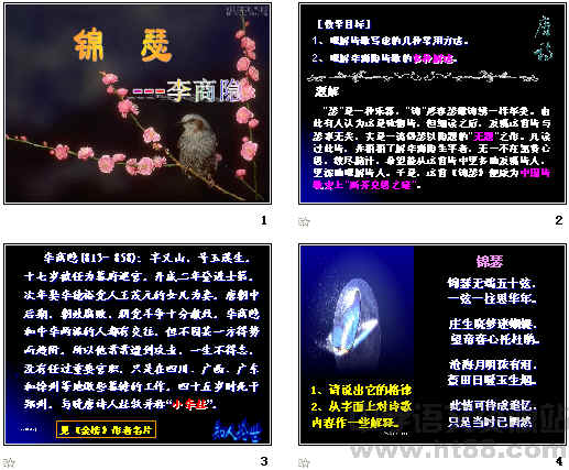 鿴Ԥͼ