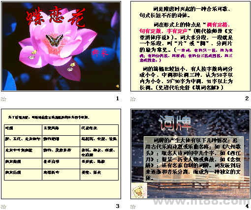鿴Ԥͼ