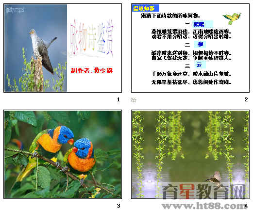 鿴Ԥͼ