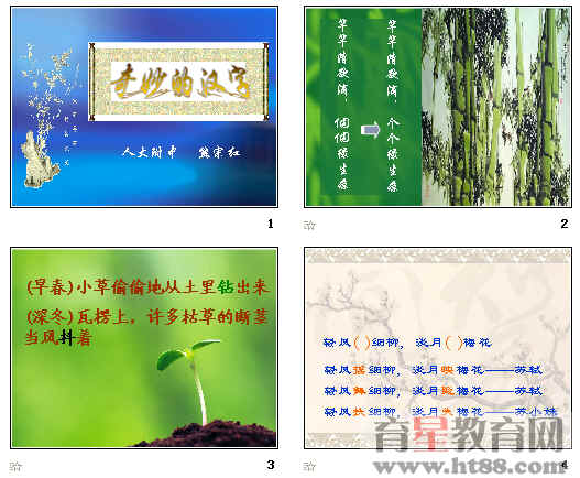 查看预览图