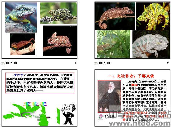 鿴Ԥͼ