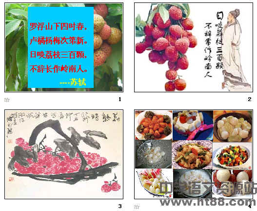 鿴Ԥͼ