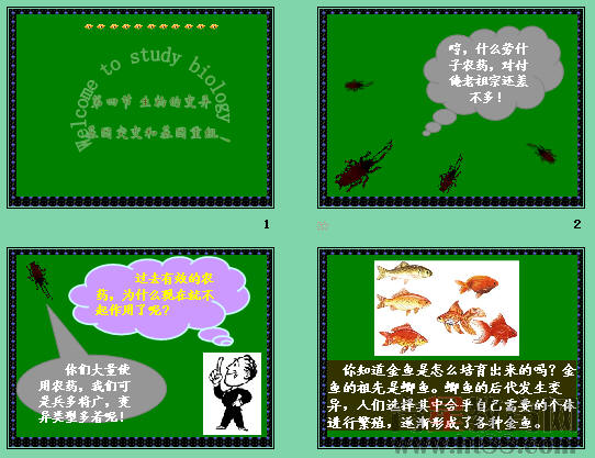 鿴Ԥͼ