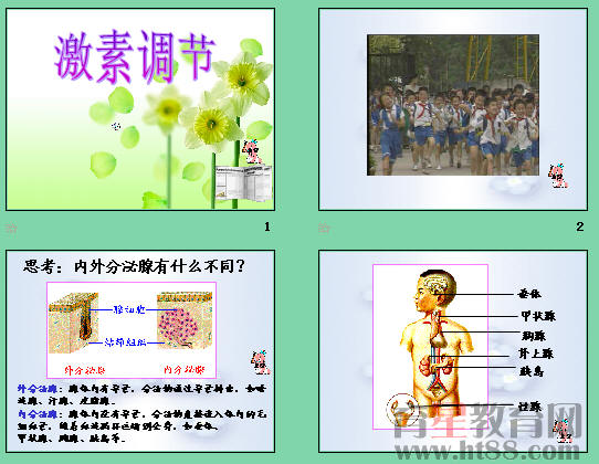 鿴Ԥͼ