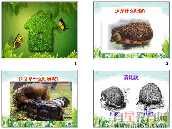 鿴Ԥͼ