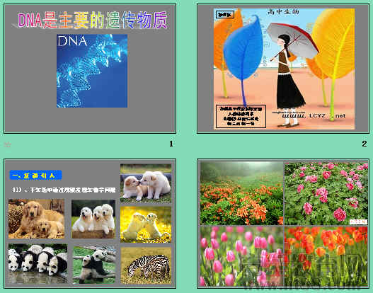 鿴Ԥͼ