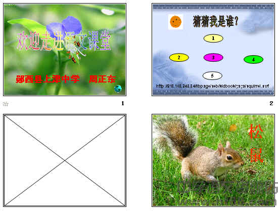 鿴Ԥͼ
