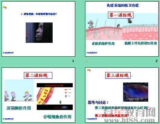 鿴Ԥͼ