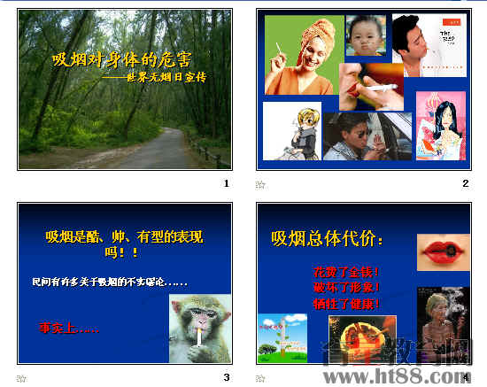 查看预览图