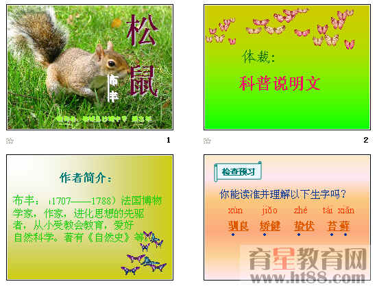 鿴Ԥͼ