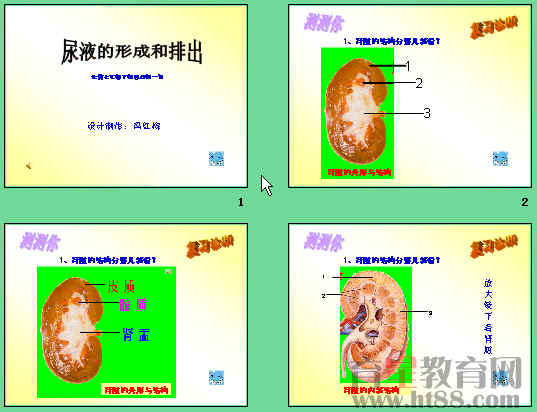 鿴Ԥͼ