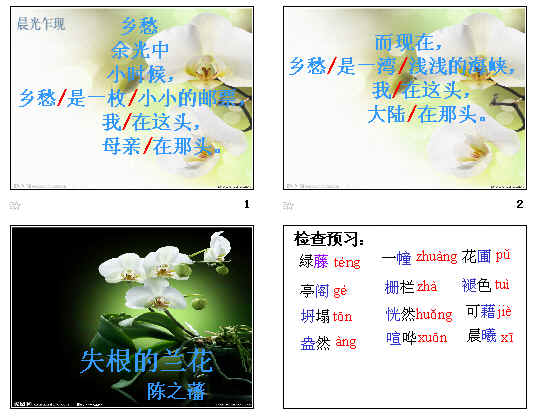 鿴Ԥͼ