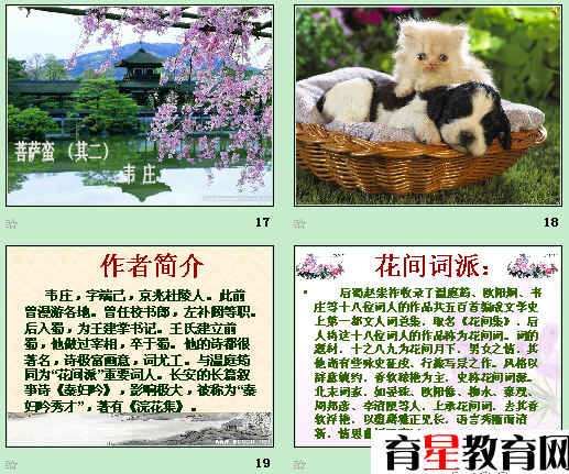 鿴Ԥͼ