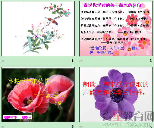 鿴Ԥͼ