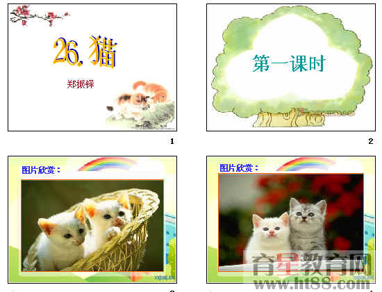 鿴Ԥͼ