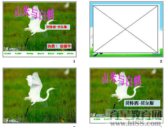 鿴Ԥͼ