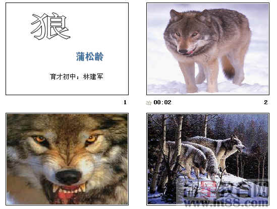 鿴Ԥͼ