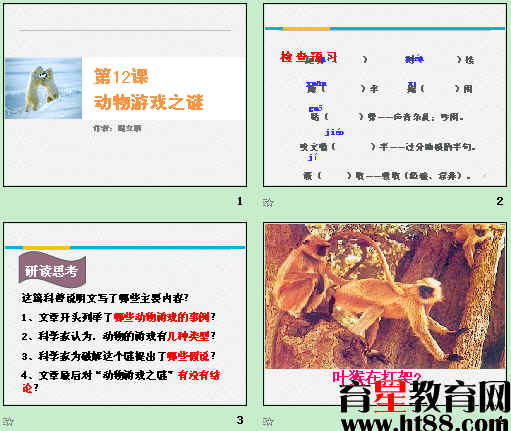 查看预览图