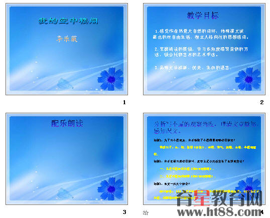 鿴Ԥͼ