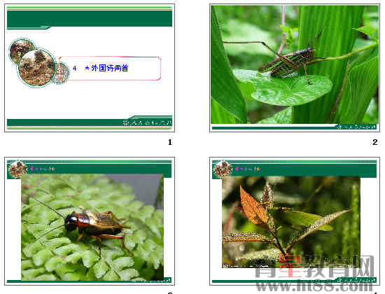 鿴Ԥͼ