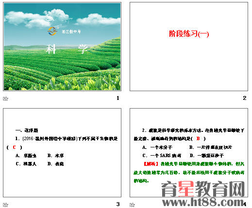 鿴Ԥͼ