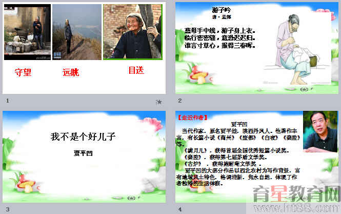 鿴Ԥͼ