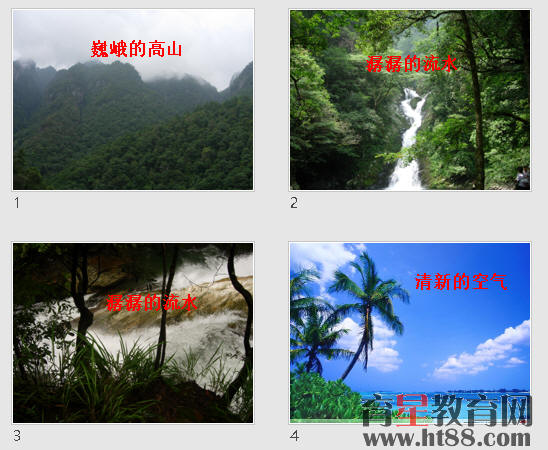 鿴Ԥͼ
