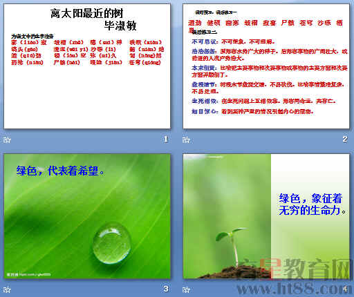 查看预览图