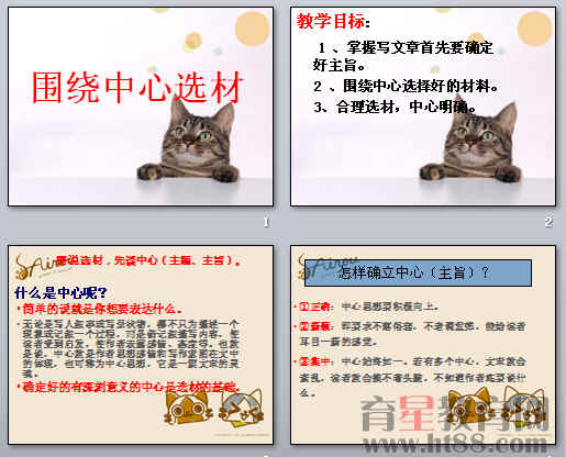 鿴Ԥͼ